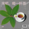 谷歌、圈圈 - 来吧，喝一杯茶