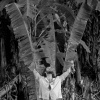 Natalia Machiavelli、Giba Santana、Diego Rizzo Vieira、Léo Nascimento、Gael Diniz - Visão Sucessional