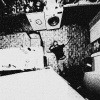 NO1 - usami