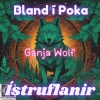 Ístruflanir - ***** Wolf