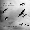 Sergio Sorrentino - Elevate (Electric Guitar Version)