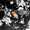 ImRJ - ORANGE PILL (hi :) ) (Explicit)