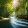 Lo Fi Hip Hop 2023、Relaxation Music for Mind Body & Spirit、Relaxing Music Oasis - Smooth Rhythms for Gentle Sleep