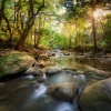 Calm Lofi Sounds、Relaxing Music Harp、Meditation Relaxing Music - Soothing Bars