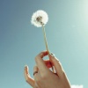 멜로우 - Blowing dandelion seed