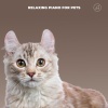 Relaxing Piano For Pets、Cat Music、Music For Cats - Midnight Meow