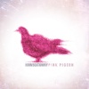 How Beats Why - Piano, Pigeon