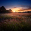 Dreamy Music Moments、Fire Sounds Sleep、Calm Sleep Music - The Gentle Fade To Rest
