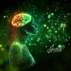 Jayson Freedom - Memory Rejuvenation