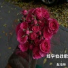 赵元帅 - 郑宇伯战歌