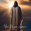 Gabe Carmona、Joshua Myers - You Reign Above (feat. Joshua Myers)