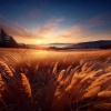 Deep Relaxation Exercises Academy、Relax Easy、The Chillout Players - Healing Waters