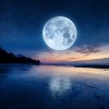 Ecos Calmantes de Montaña、Restaurante de Musica de Lujo、Dulzura del universo - Tranquilidad Vespertina Que Cubre Todo