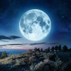 Relax y Bienestar、El proyecto del ruido、Calientalo - Melodías Nocturnas Serenas