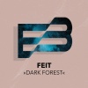 Feit - Dark Forest (Extended Mix)