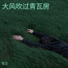 张之念 - 大风吹过青瓦房 (思乡版)