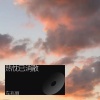 左兆丽 - 热忱已消散