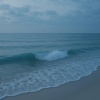 Coastal Sounds、Musica Relajante、Snoozify - Water Orchid