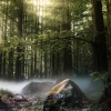 Baltic Nature Sounds、Natural Sounds、Sleep Music Lullabies - Guiding The Bow Of Life