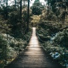Baltic Nature Sounds、Natural Sounds、Sleep Music Lullabies - Guiding The Bow Of Life
