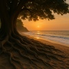 Baltic Nature Sounds、Natural Sounds、Sleep Music Lullabies - Forest Lake