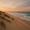 Baltic Nature Sounds、Natural Sounds、Sleep Music Lullabies - Forest Lake