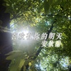 安依甜 - 感觉至上旋律