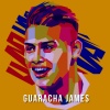 Dj Mon8 - Guaracha James