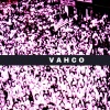 VAHCO - CROWDS