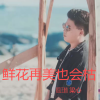 殷正林 - 鲜花再美也会枯