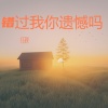 任秋 - 错过我你遗憾吗