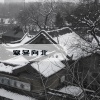 王斩 - 寒冬向北