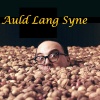 allan sherman - Auld Lang Syne (funny version, Old Lang's Sign)
