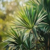 UNCHND - Palmetto