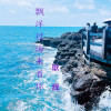 耿辉 - 漂洋过海来看你