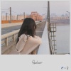 Dr. Wave、주라니공원 - Shelter