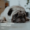Music for Calming Dogs、Music For Dogs With Anxiety、Puppy Sleep Dreams - Calming Music For Dogs With Separation Anxiety