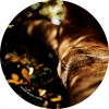 Mike Schommer - Seen the Light