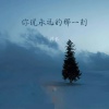 探长 - 你说永远那一刻
