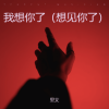 里艾 - 我想你了 (想见一面)