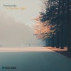 프롬나드、Patiotic Records - In the day light