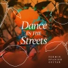 Fermin Spanish Guitar - Rhythms Dance