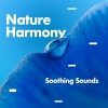 Soothing Sounds - Acropolis