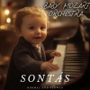 Baby Sleep Zone、Baby Mozart Orchestra - Piano Sonata No. 9 in a minor, KV 310 (E 300d)(Allegro maestoso Slowed 90 Bpm)