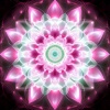 Manifest Now、Red Matter、Pineal Gland Activator - Limitless Prosperity Vibration 432 Hz Meditation