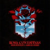 Omar Montalvo、Jaime del Hierro - Rosa Con Espinas
