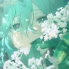 Tsuki - Living flowers