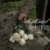 珍藏版 - 日落归山海