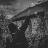 Ora Kola、KsoulRsa、Dandy Trix - Topo