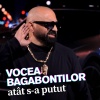Florin Mitroi、Vocea Bagabontilor - Atat s-a putut (feat. VOCEA BAGABONTILOR)(Explicit)